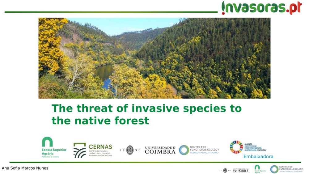 The threat of invasive species to the native forest