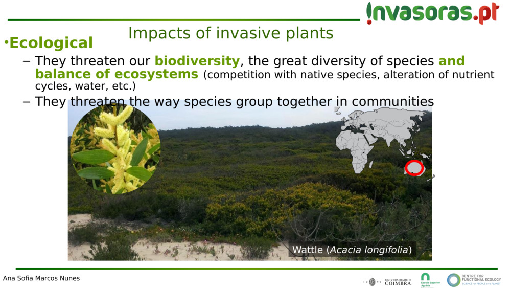 Impacts of invasive plants 