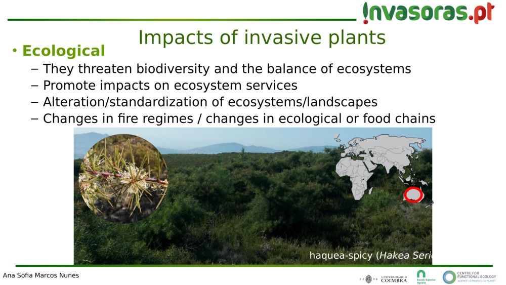Impacts of invasive plants 