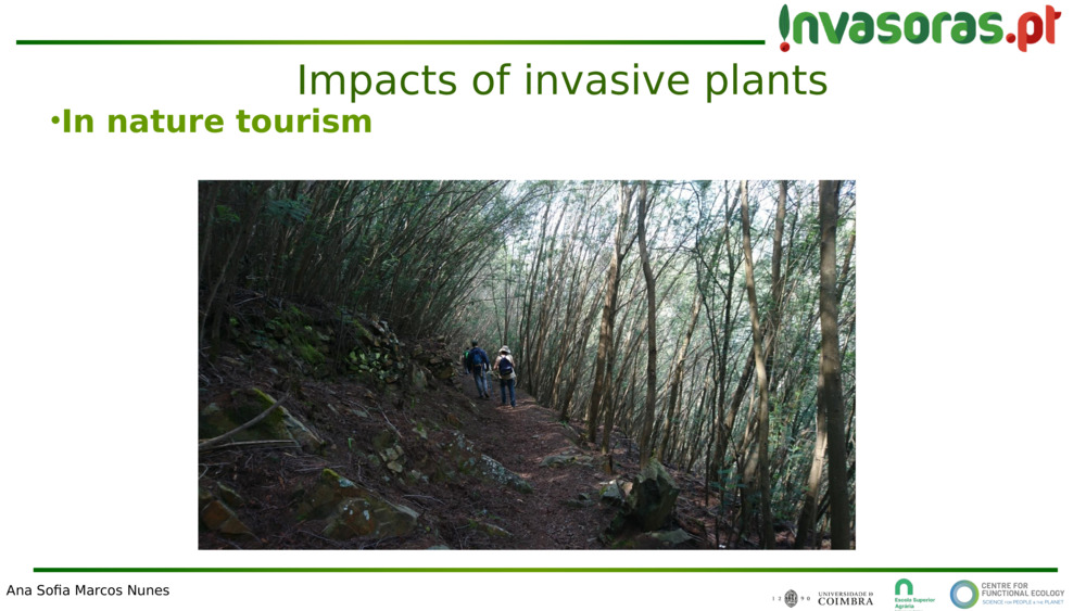 In nature tourism
