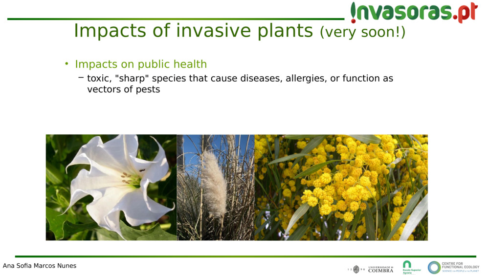 Impacts on public health