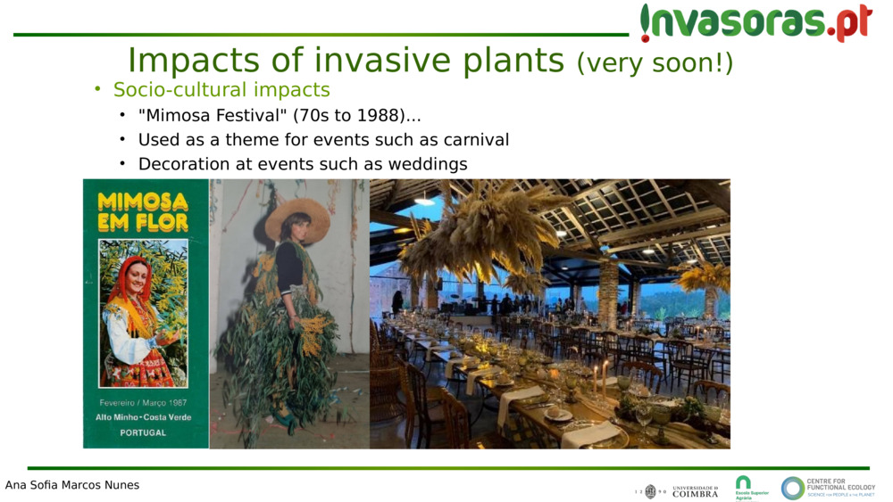 Socio-cultural impacts