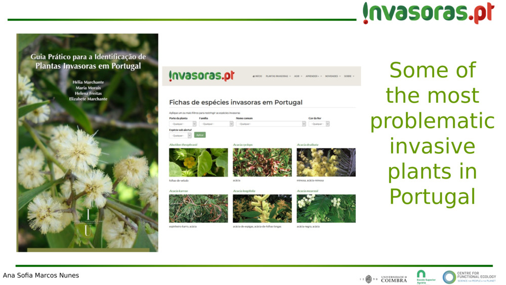 Some of the most problematic invasive plants in Portugal