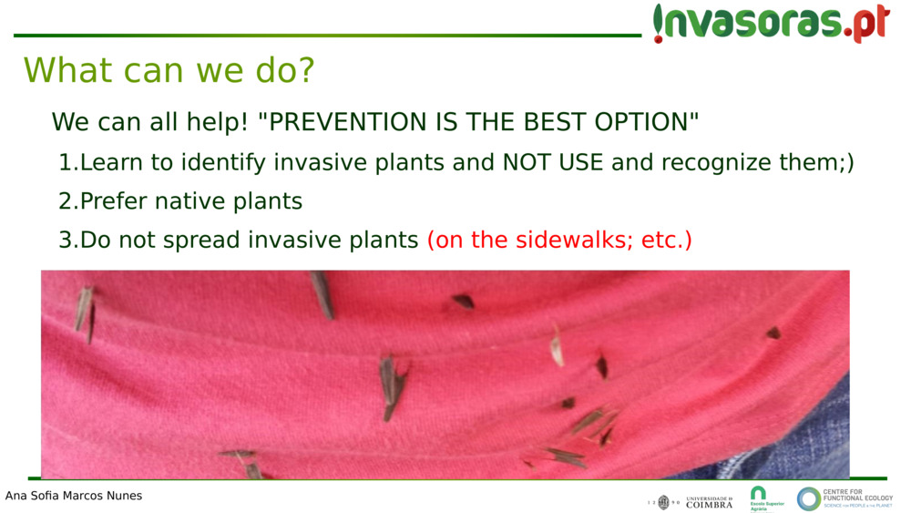 We can all help! "PREVENTION IS THE BEST OPTION"