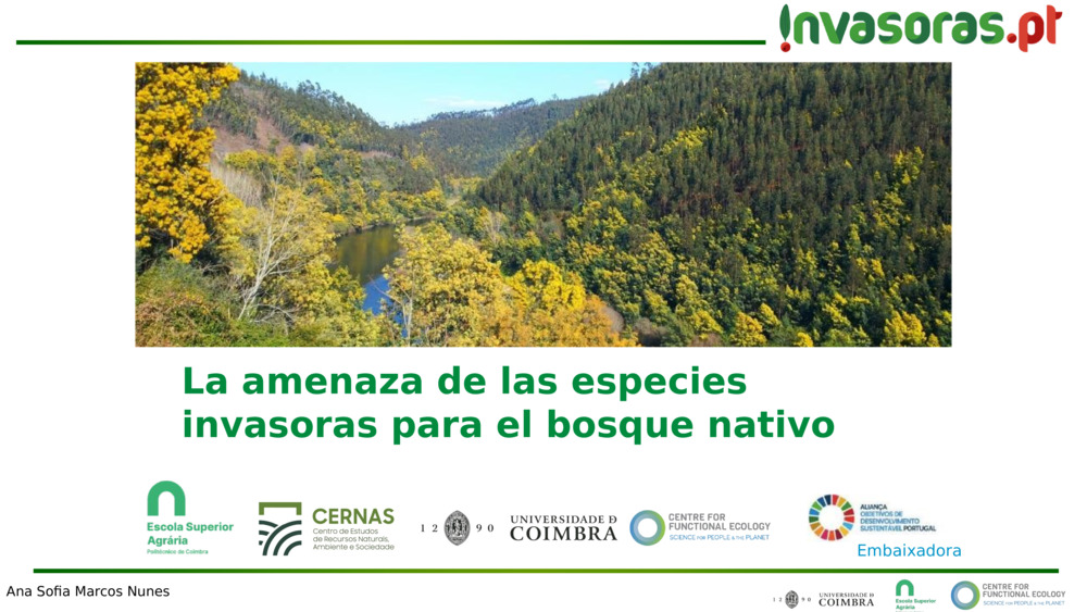 La amenaza de las especies invasoras para el bosque nativo