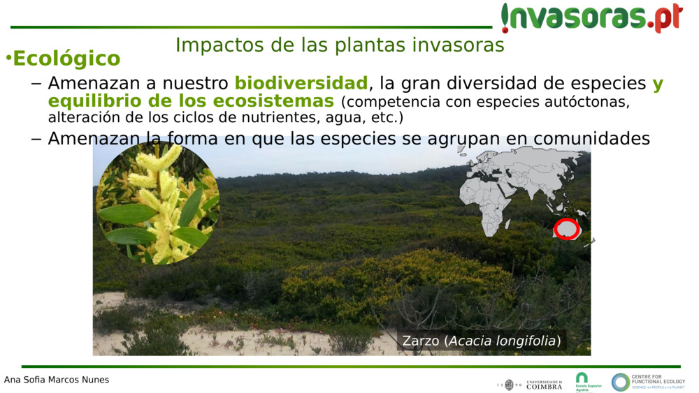 Impactos de las plantas invasoras 