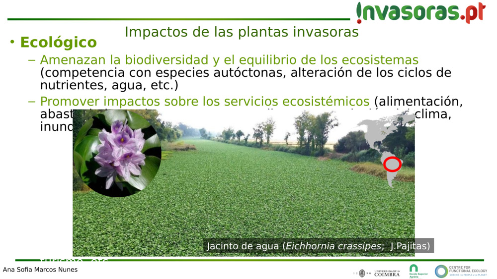  Ecológico