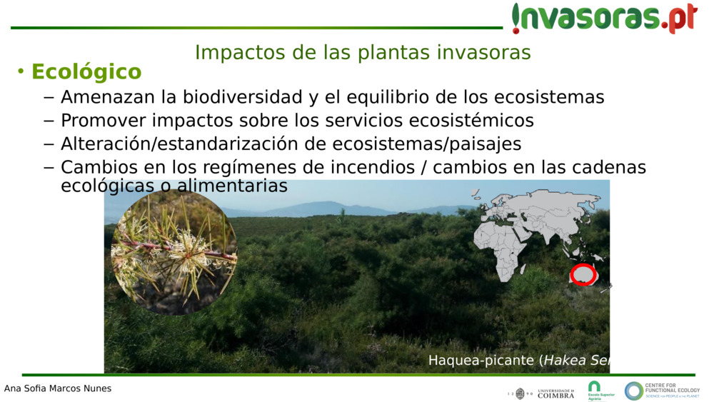 Impactos de las plantas invasoras 