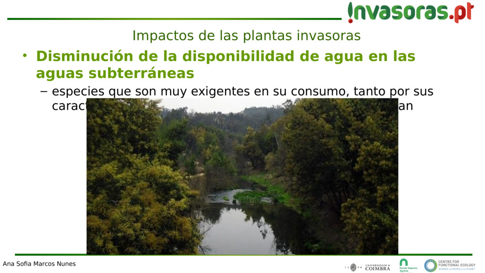 Disminución de la disponibilidad de agua en las aguas subterráneas