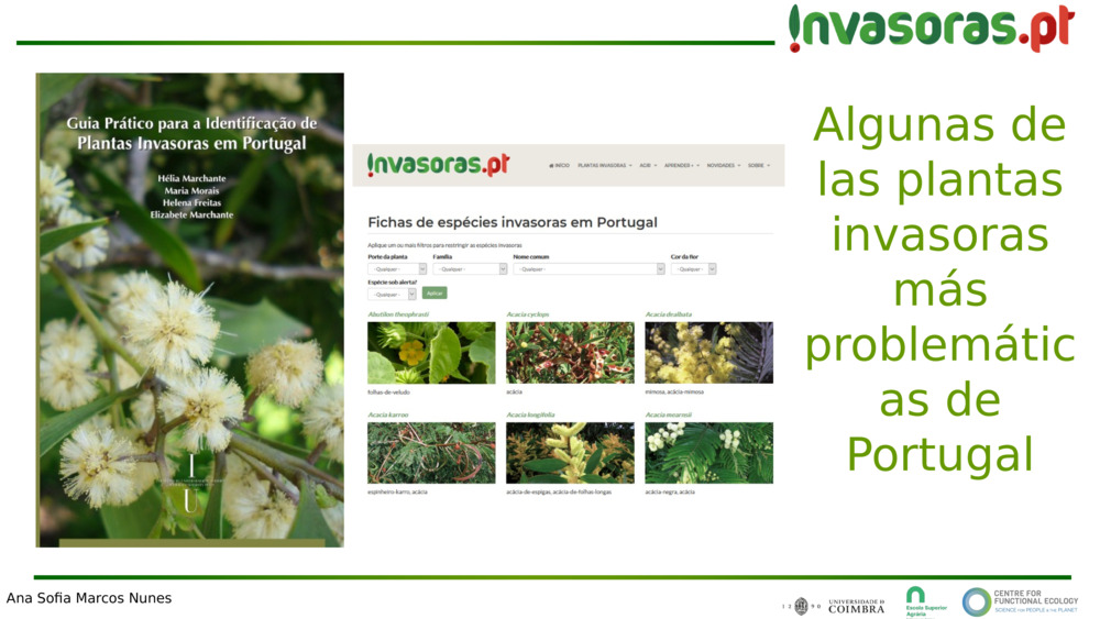 Algunas de las plantas invasoras más problemáticas de Portugal
