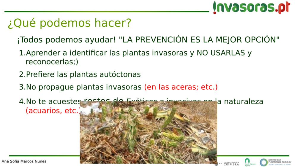 ¡Todos podemos ayudar! "LA PREVENCIÓN ES LA MEJOR OPCIÓN"