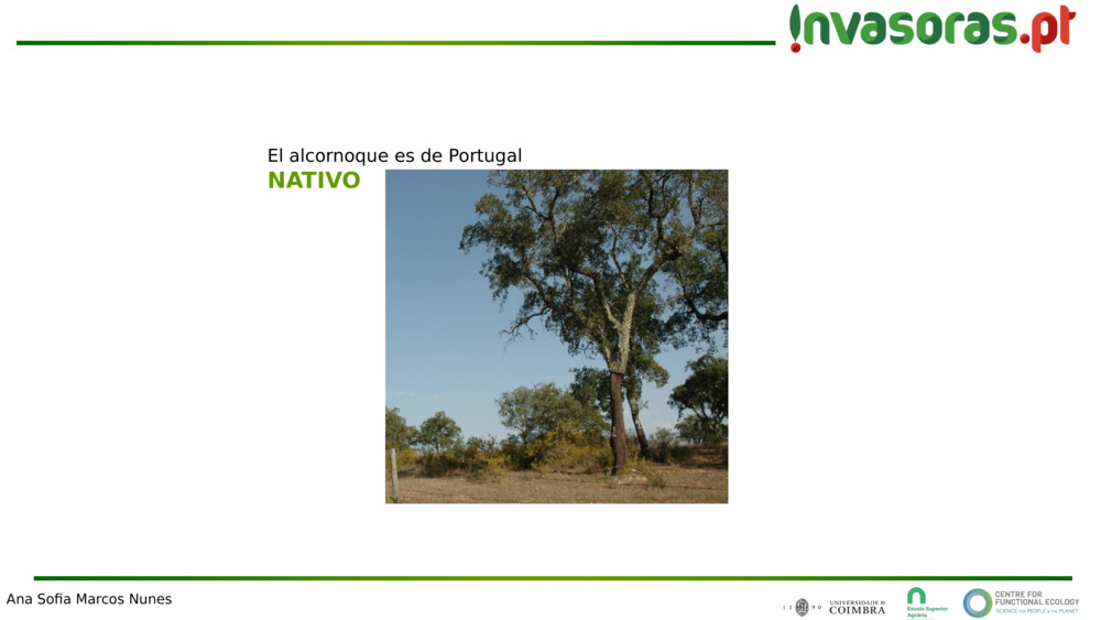 El alcornoque es de Portugal