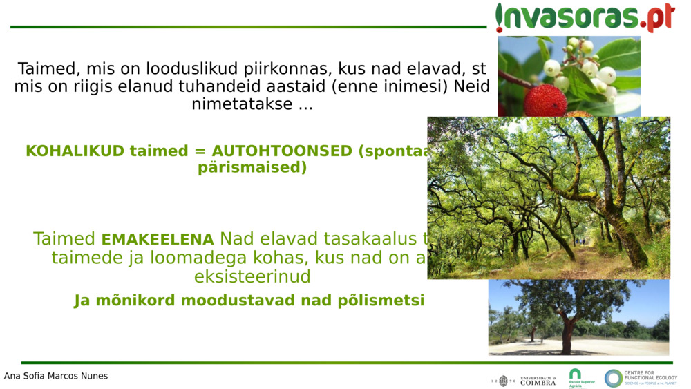 Taimed, mis on looduslikud piirkonnas, kus nad elavad, st mis on riigis elanud tuhandeid aastaid (enne inimesi) 