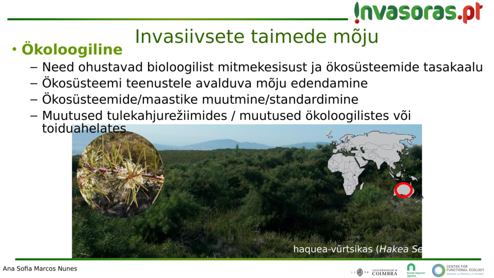 Invasiivsete taimede mõju 