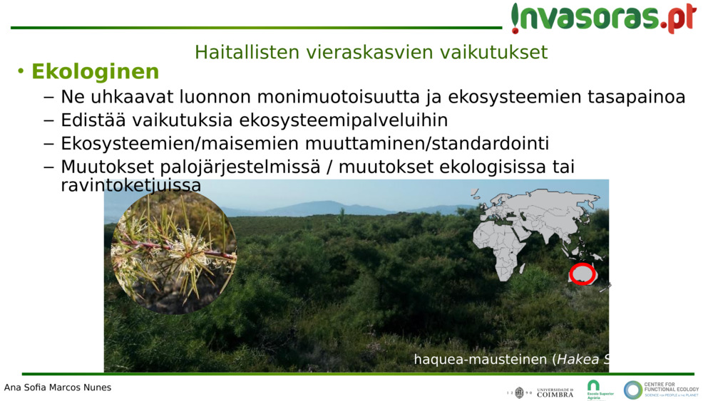 Haitallisten vieraskasvien vaikutukset 