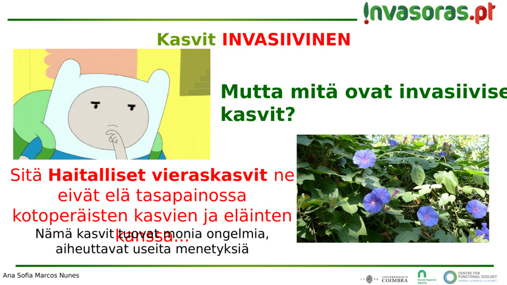 Sitä 