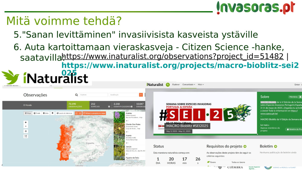 "Sanan levittäminen" invasiivisista kasveista ystäville
