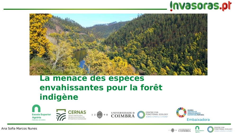 La menace des espèces envahissantes pour la forêt indigène