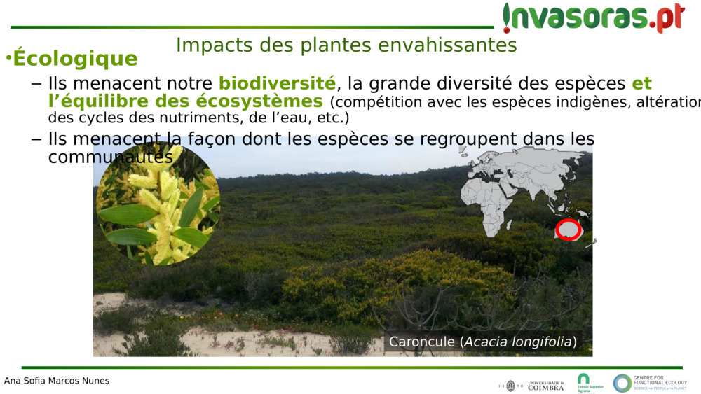 Impacts des plantes envahissantes 