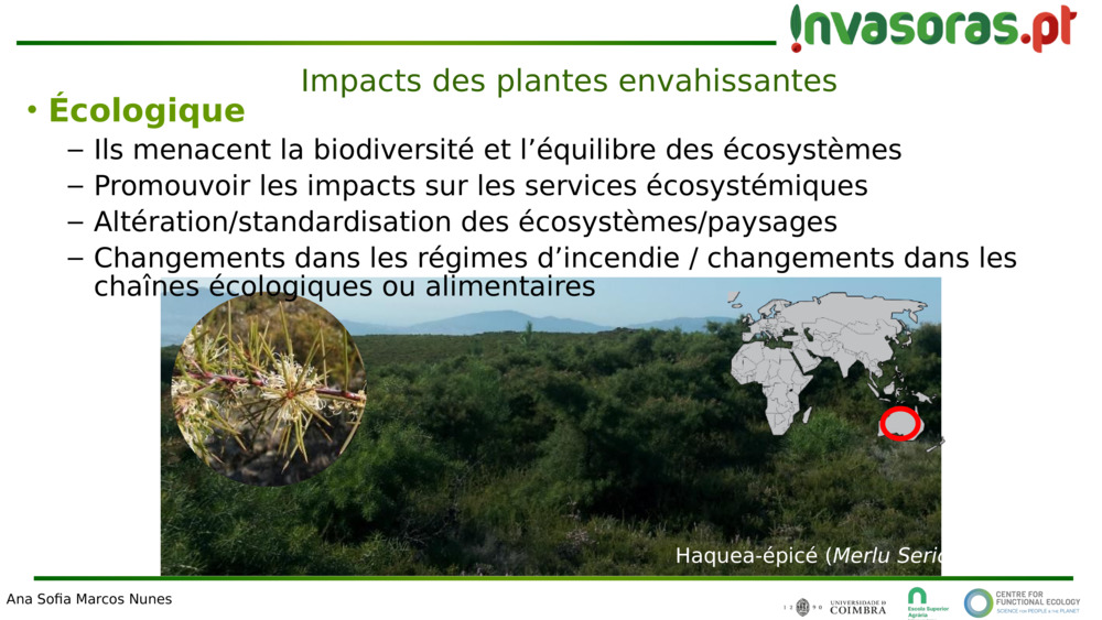 Impacts des plantes envahissantes 