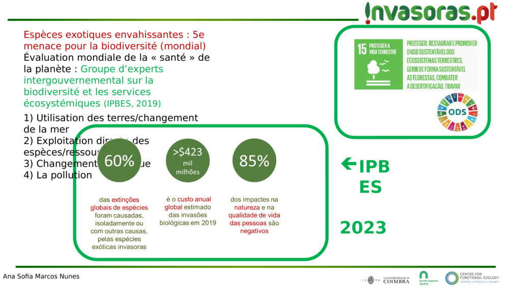 Espèces exotiques envahissantes : 5e menace pour la biodiversité (mondial)