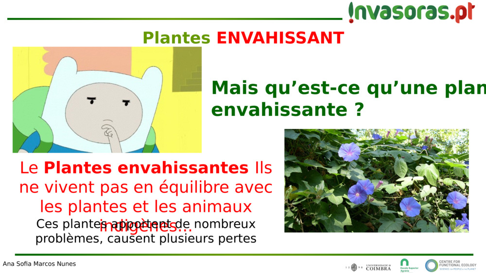 Le 