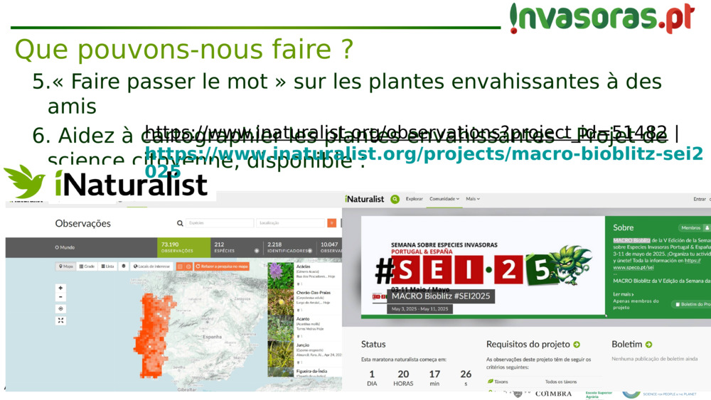 « Faire passer le mot » sur les plantes envahissantes à des amis