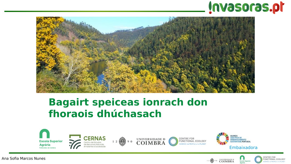 Bagairt speiceas ionrach don fhoraois dhúchasach