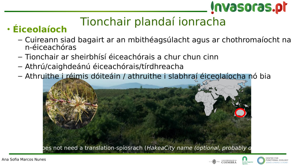 Tionchair plandaí ionracha 