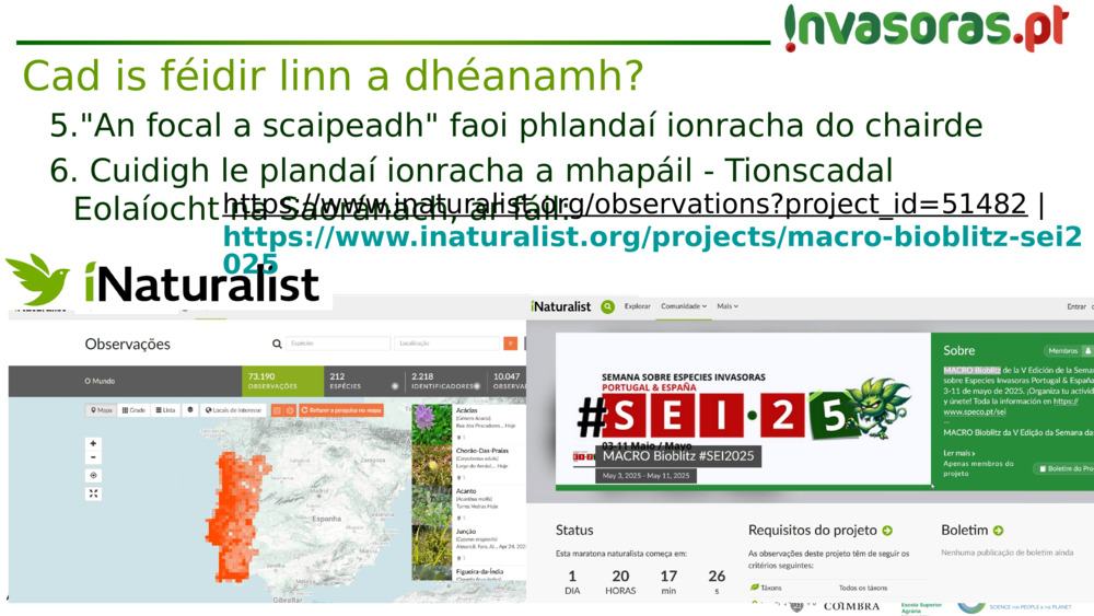 "An focal a scaipeadh" faoi phlandaí ionracha do chairde