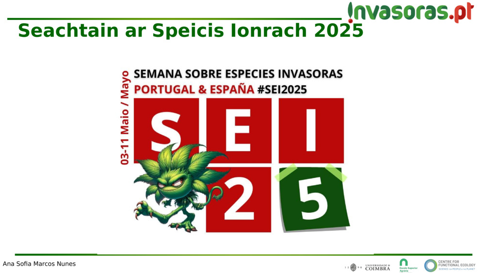 Seachtain
