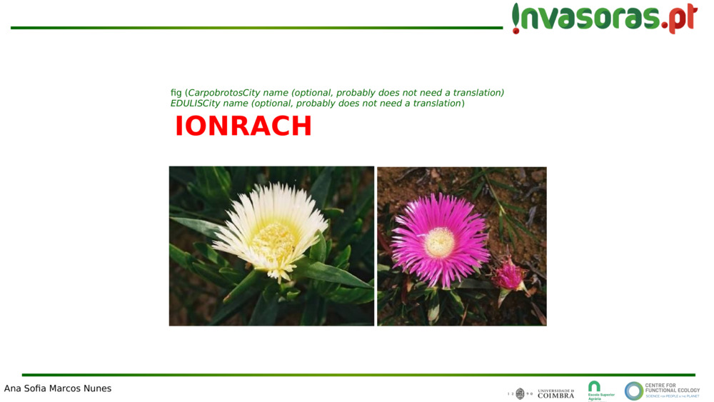 IONRACH