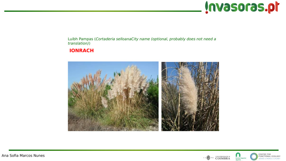 IONRACH