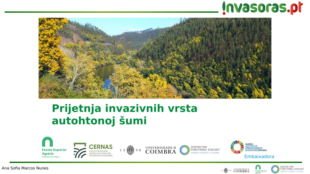 Prijetnja invazivnih vrsta autohtonoj šumi