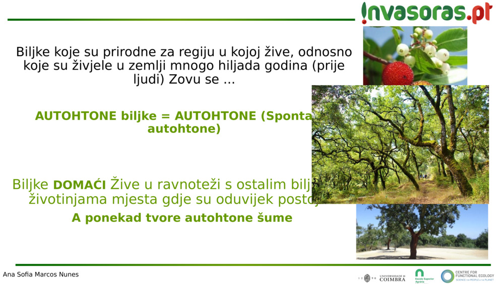 Biljke koje su prirodne za regiju u kojoj žive, odnosno koje su živjele u zemlji mnogo hiljada godina (prije ljudi) 
