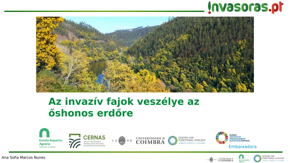 Az invazív fajok veszélye az őshonos erdőre