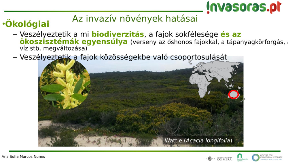 Az invazív növények hatásai 