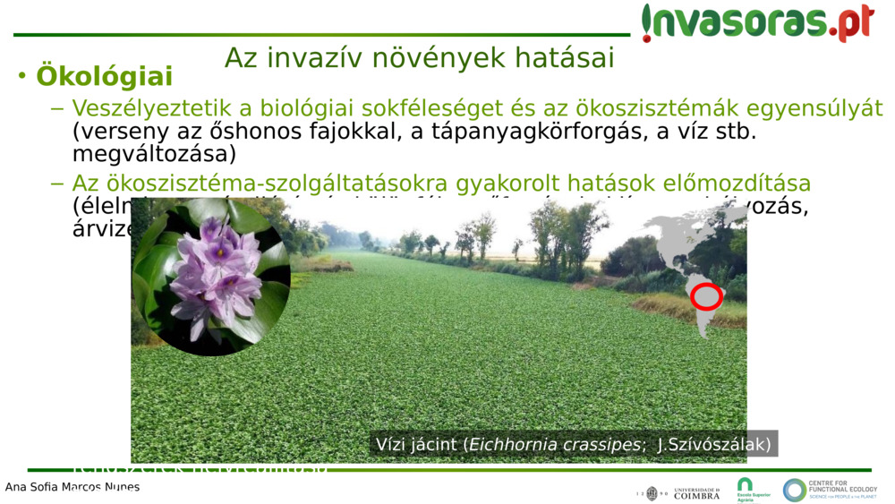  Ökológiai