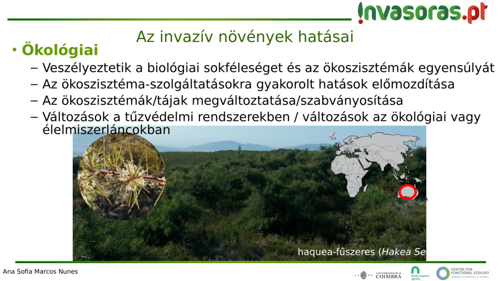 Az invazív növények hatásai 