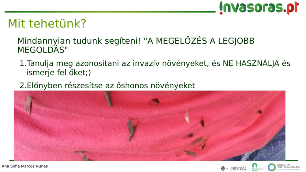 Mindannyian tudunk segíteni! "A MEGELŐZÉS A LEGJOBB MEGOLDÁS"
