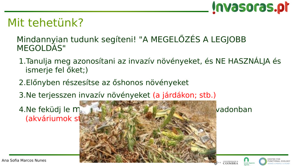 Mindannyian tudunk segíteni! "A MEGELŐZÉS A LEGJOBB MEGOLDÁS"