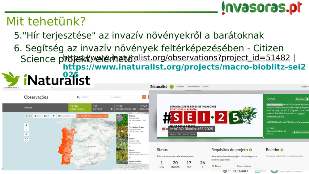 "Hír terjesztése" az invazív növényekről a barátoknak