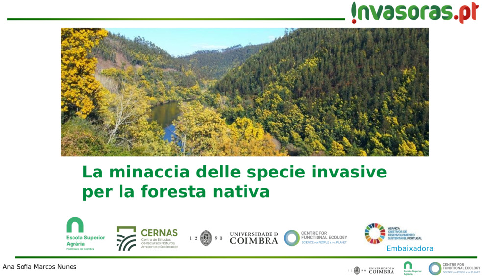 La minaccia delle specie invasive per la foresta nativa