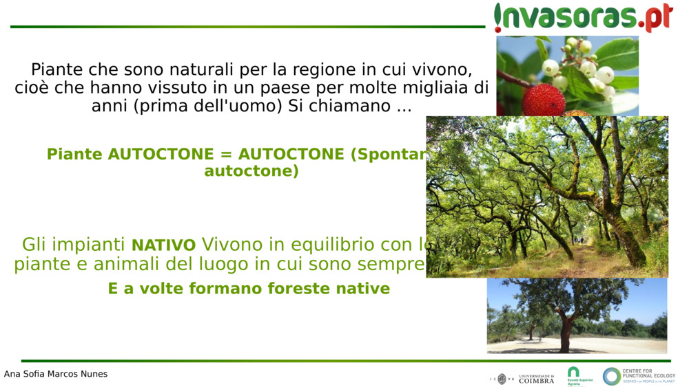 Piante che sono naturali per la regione in cui vivono, cioè che hanno vissuto in un paese per molte migliaia di anni (prima dell'uomo) 