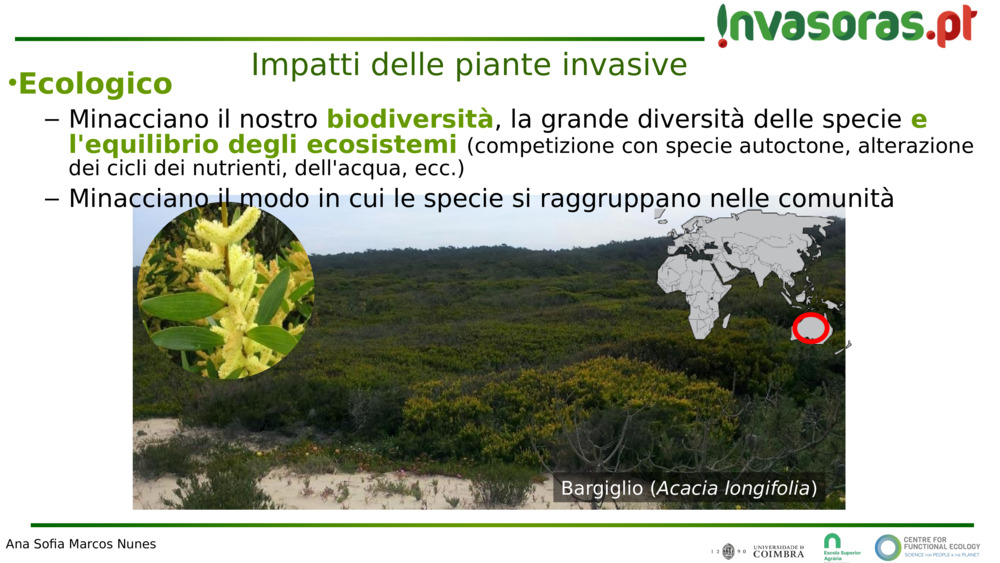 Impatti delle piante invasive 