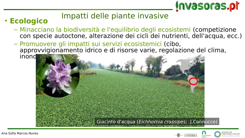  Ecologico