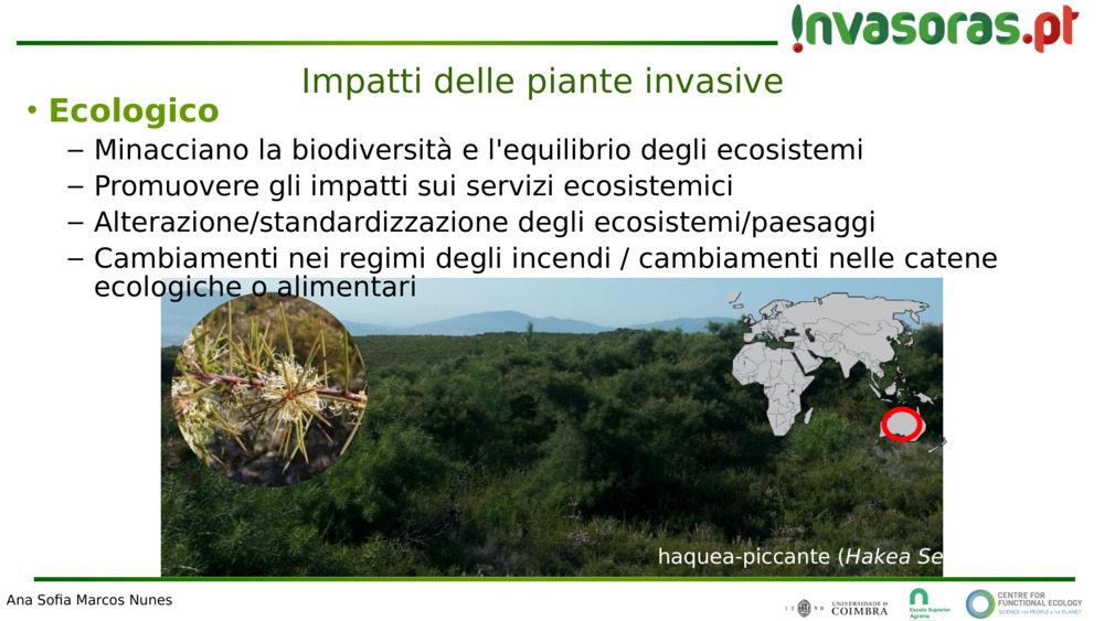 Impatti delle piante invasive 