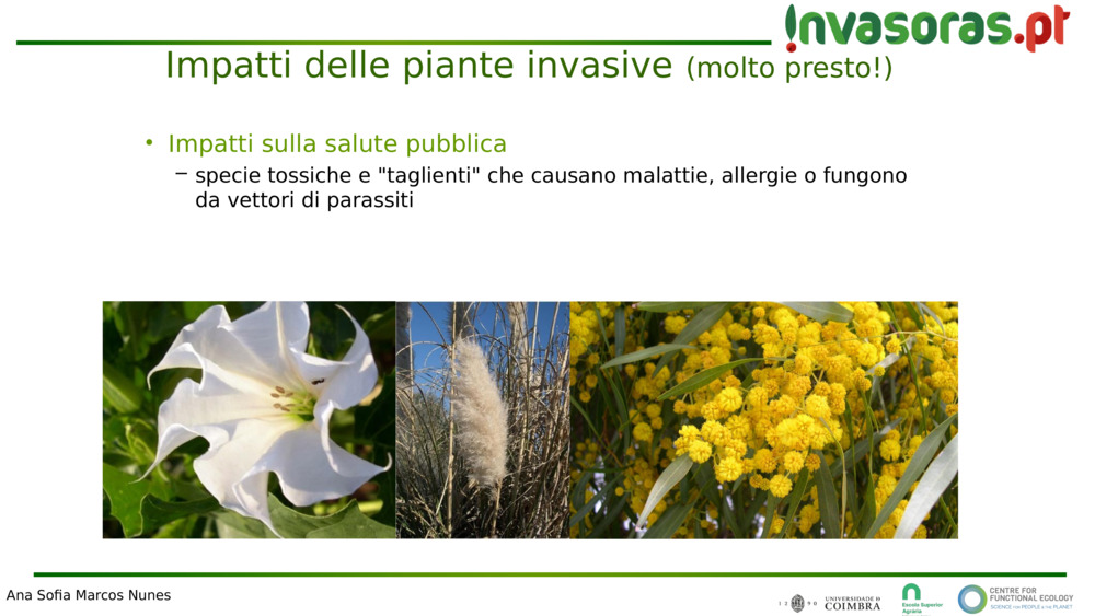 Impatti sulla salute pubblica
