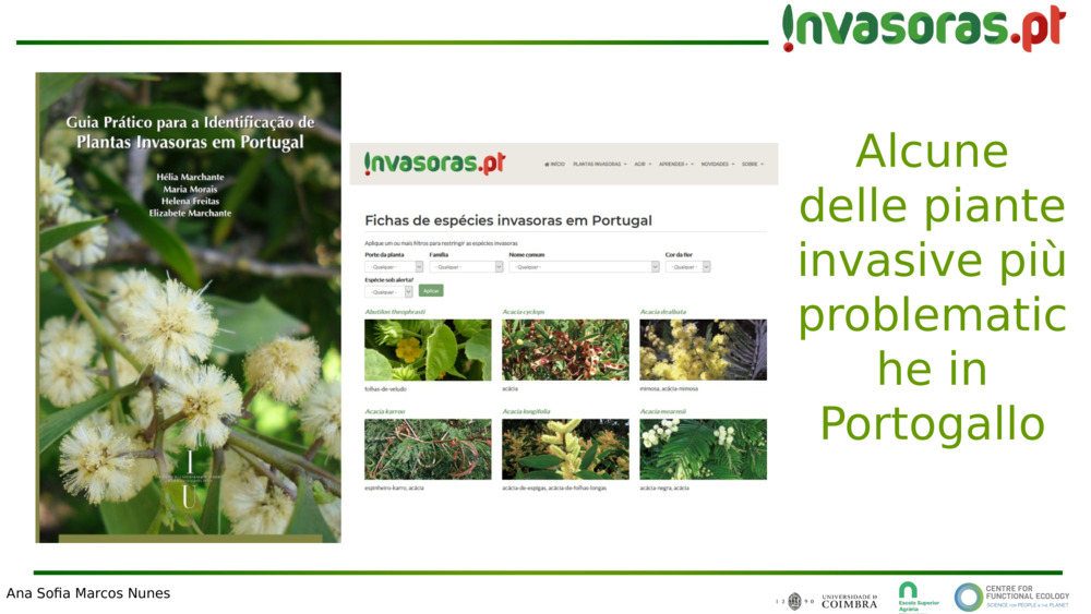 Alcune delle piante invasive più problematiche in Portogallo