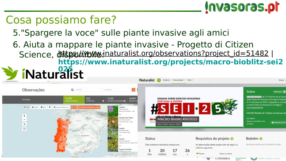 "Spargere la voce" sulle piante invasive agli amici